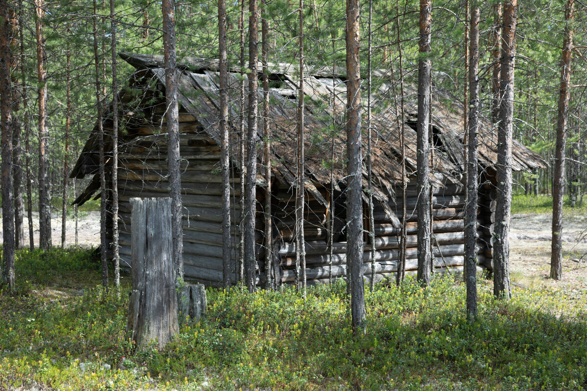 Битва шаманов с чекистами в сибирской тайге | PictoTravel | Дзен