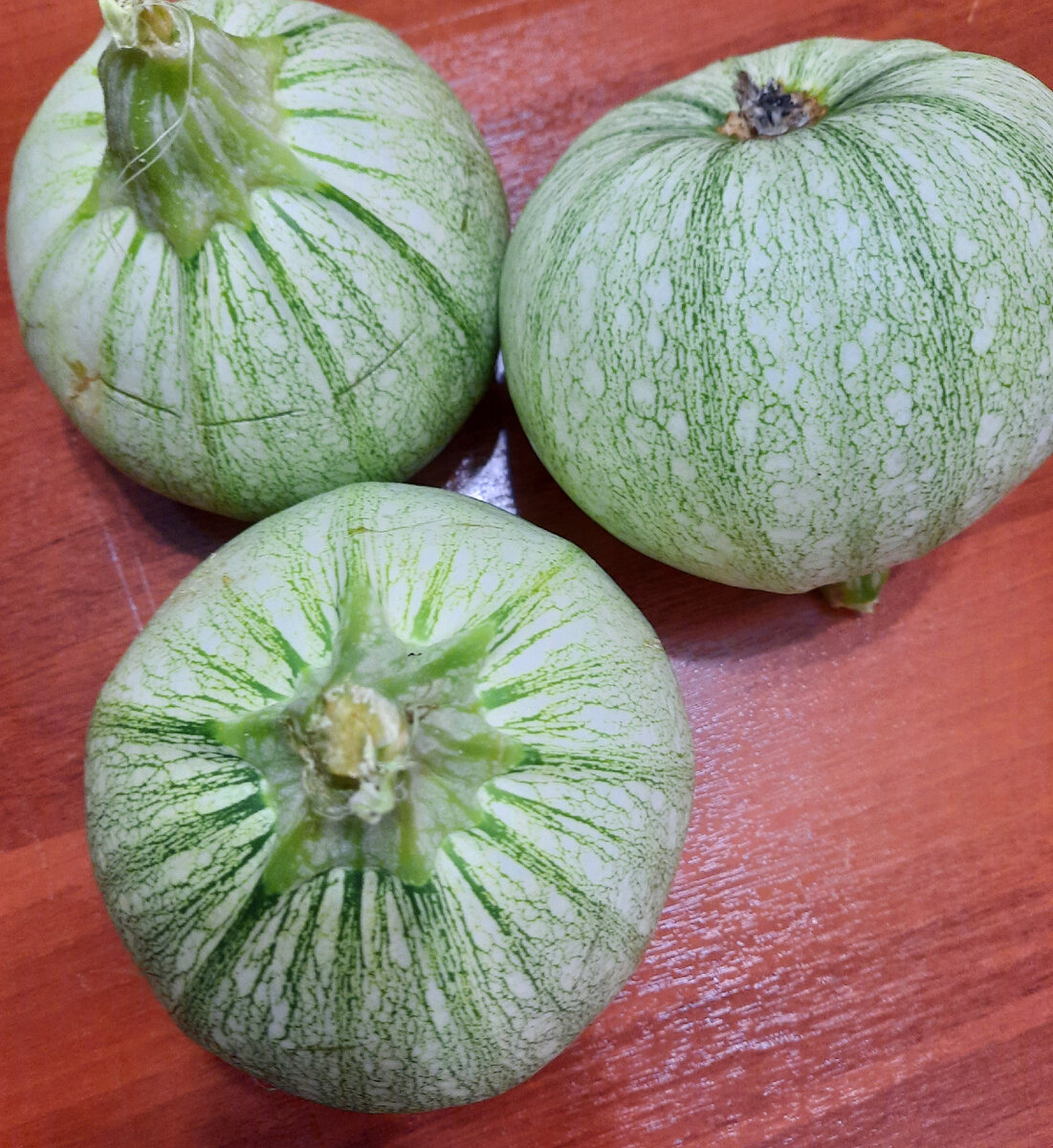 Вот такие у меня в этом году кабачки.