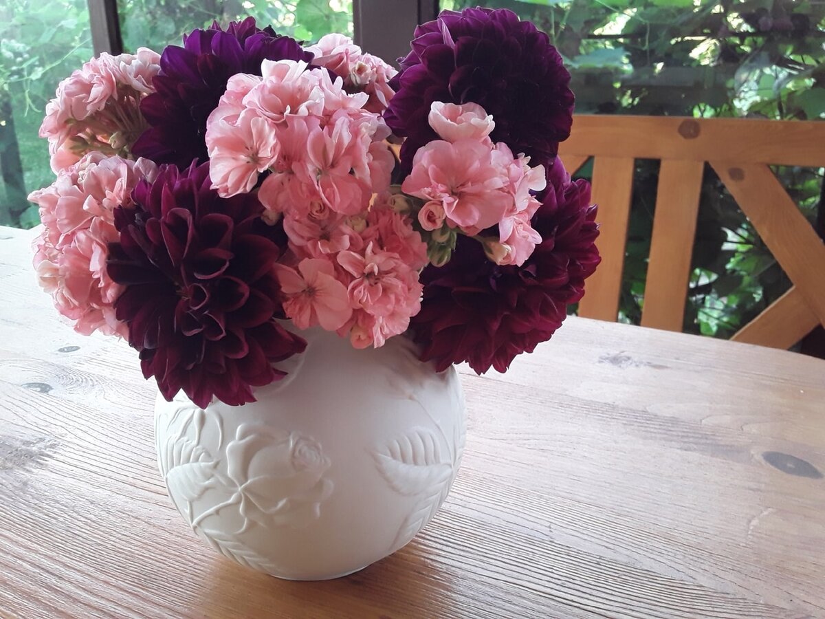 Георгины и пеларгония