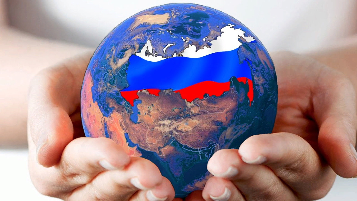 пряные травы на кухне в горшках. многополярный мир. цветы в лампочке. креативная лампочка. вертикальные грядки для зелени.