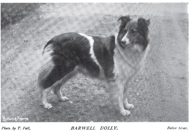 1897 год. Источник фото Pinterest