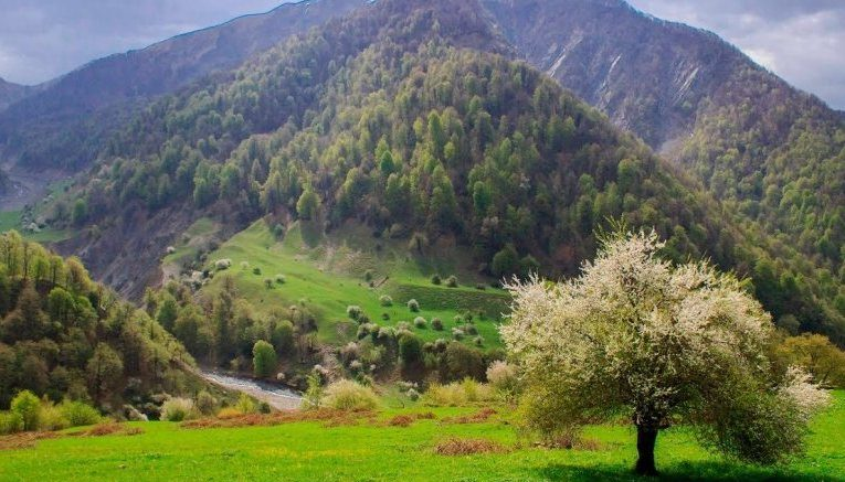 Природа азербайджана фото Габаля, ещё одна столица прошлого и настоящего современного Азербайджана. moltes