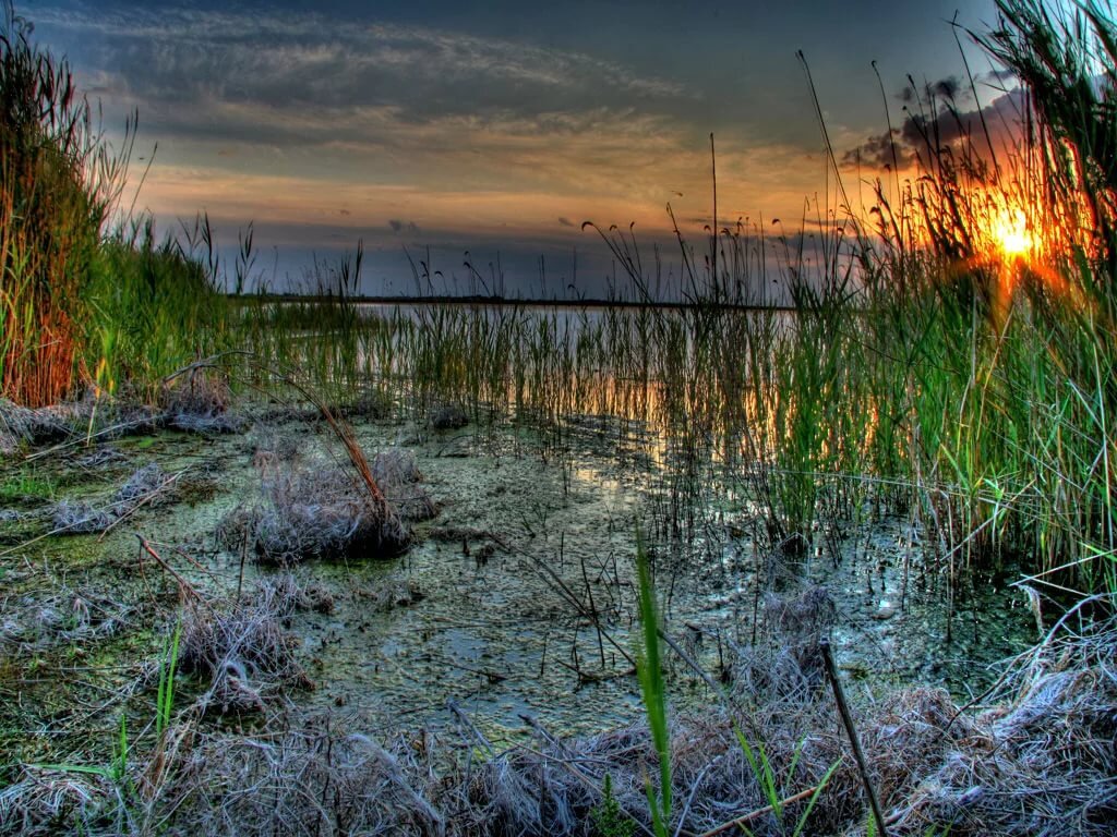 Рисунок из Интернета