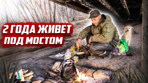 Два года живёт с собаками под мостом