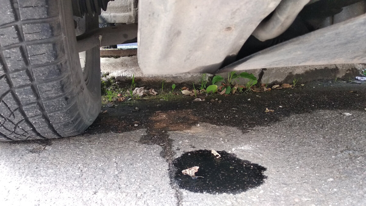 Фото взято с Яндекс картинки.