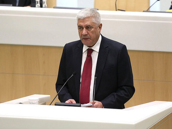     Фото: council.gov.ru