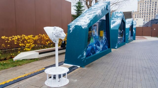    Московский зоопарк. Стенд выставки «Ирбис — кошка-невидимка» Пресс-служба Московского зоопарка