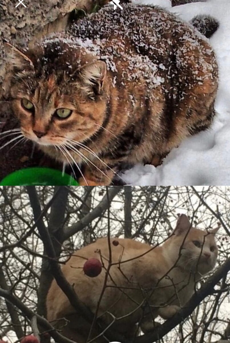 Человек, найдись