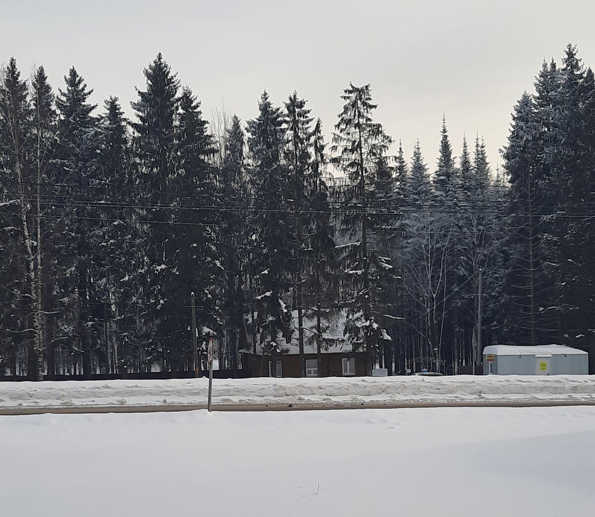 Лишь сфоткала вход в парк издалека...Картинка, конечно, мрачновата. 50 оттенков серого)))