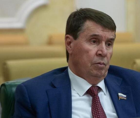    сенатор Сергей Цеков, Federation Council of Russia / globallookpress.com