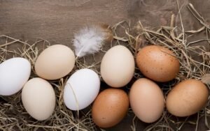    Фото: freepik.com Ксения Смирнова