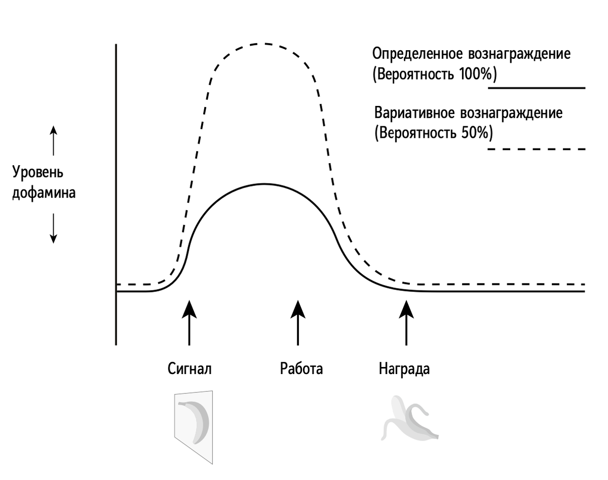 Из опыта с обезьянами 1993 г. Ссылка на исследование в конце статьи. 