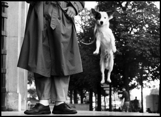  Нью-Йорк, 1981 г.