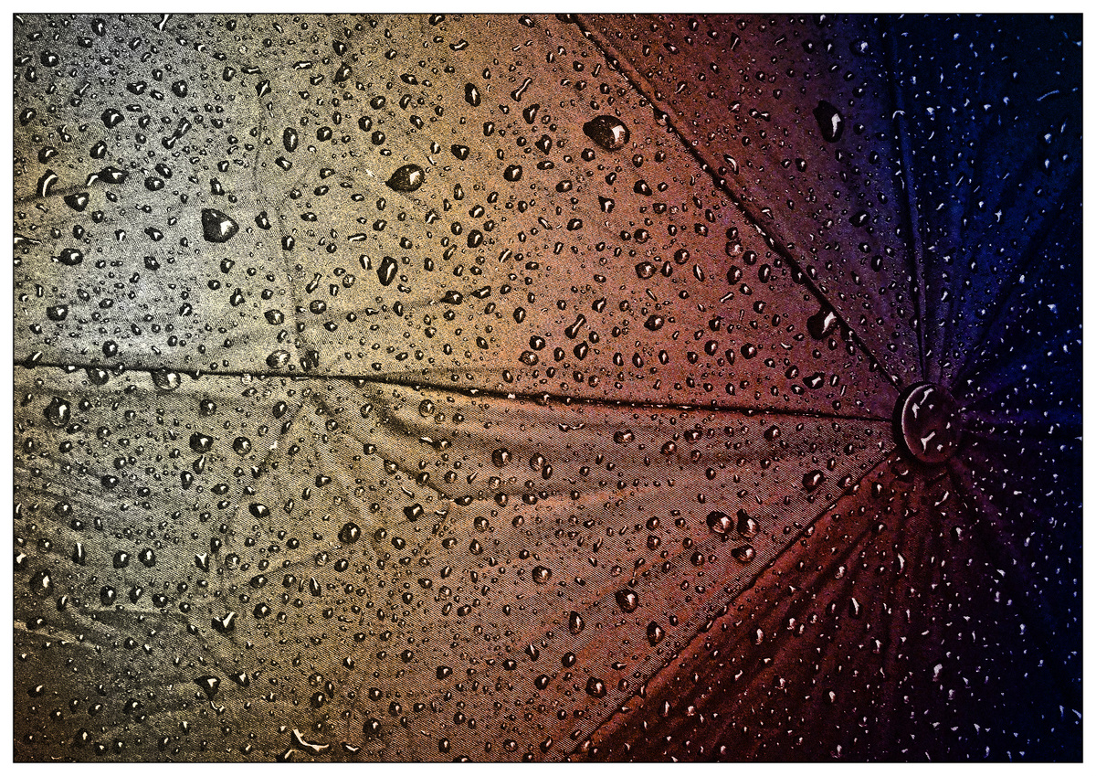 Источник фото: Pixabay