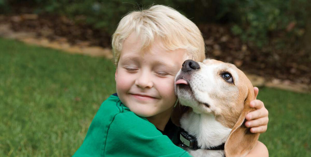 Забота о домашних животных. Пожилой человек с собакой. Играет роли животных. Домашние животные для детей. Игрушка для собак.