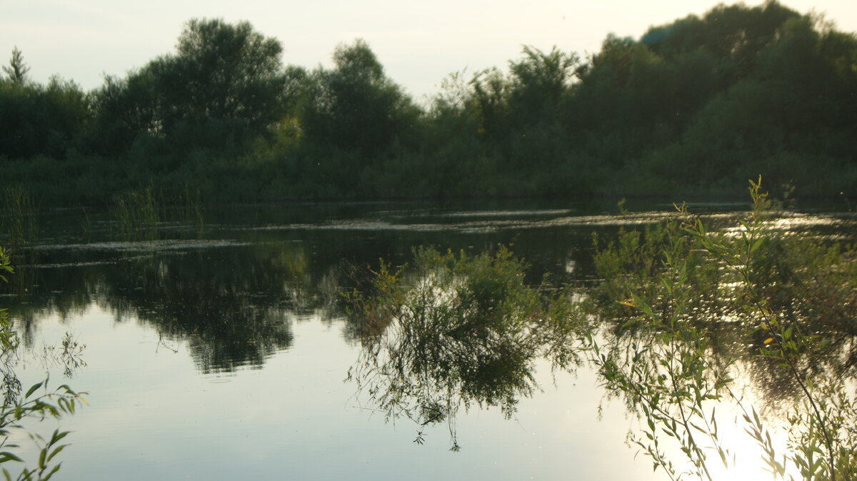  Живописный поселок расположился в экологически чистом месте В..ой области.