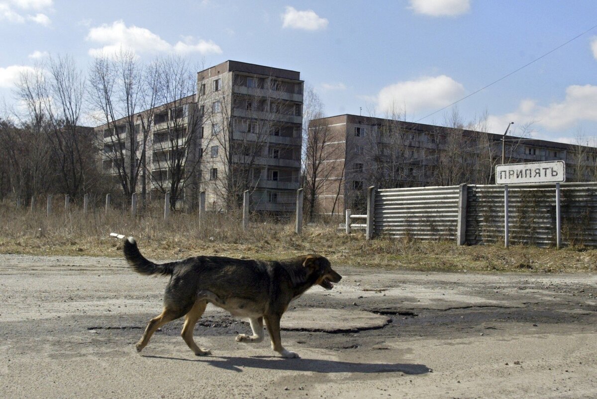 Рудня Чернобыль