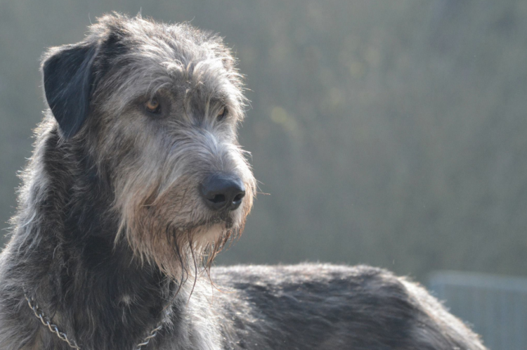 Палец вверх за умный взгляд!  😊