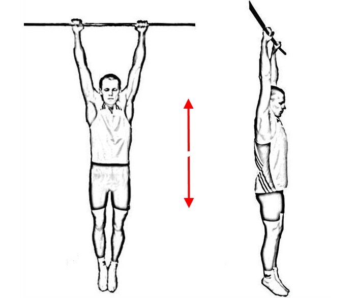 Картинка подтягивание на перекладине
