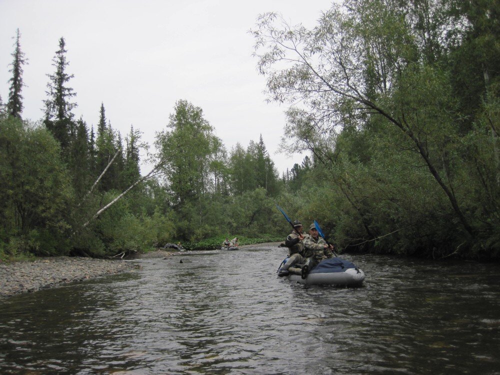 Сибирь 2015. Хк сибирь. Красноярск енисейский кряж. Енисейский кряж. Сибирь 2015.