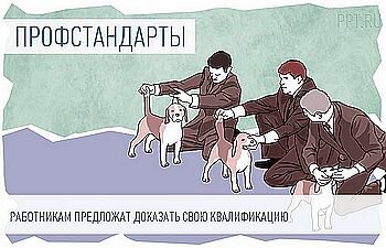Д.Гольменко, заместитель генерального директора ООО Управляющая компанию «Союз», г.Иркутск