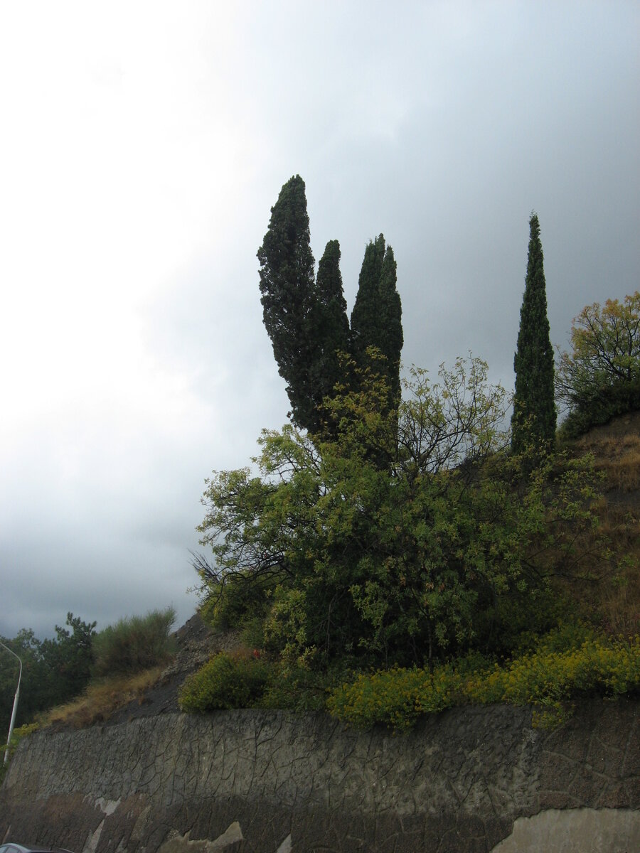 по дороге в Воронцовский дворец