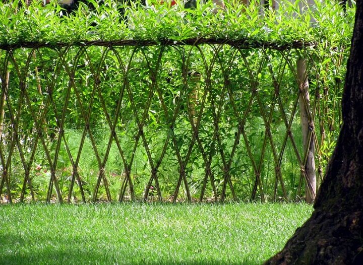 Живая изгородь из ивы: фото красивого дизайна натурального забора