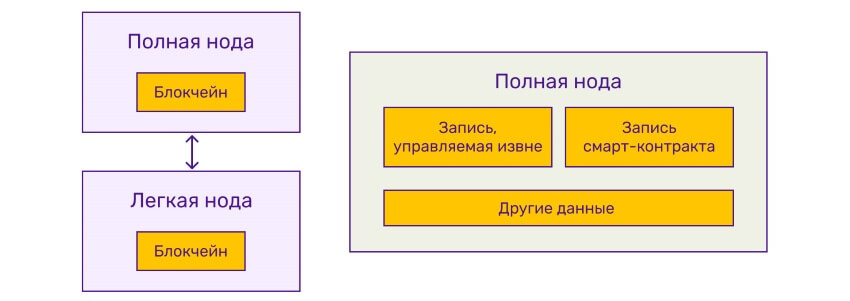                                                                Ноды, блокчейн и его содержимое