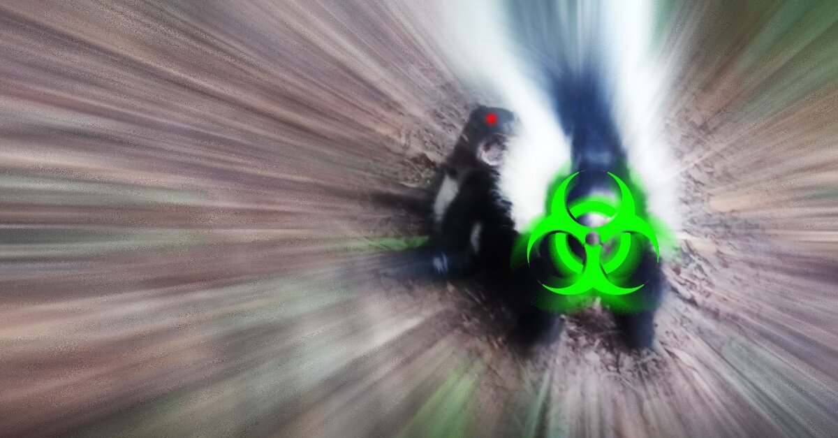 Я НЕ СУМАСШЕДШИЙ