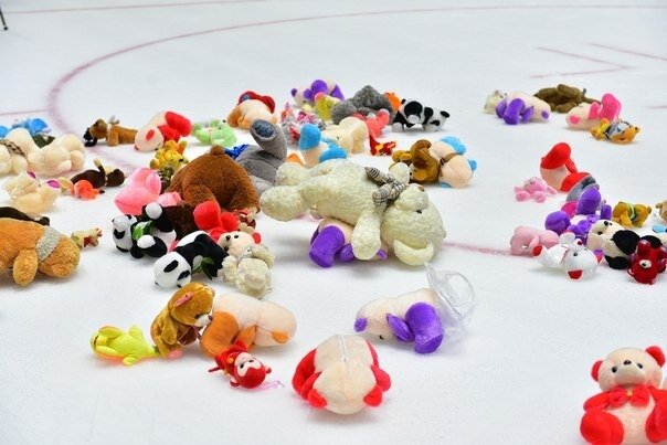  Фото: из открытых источников