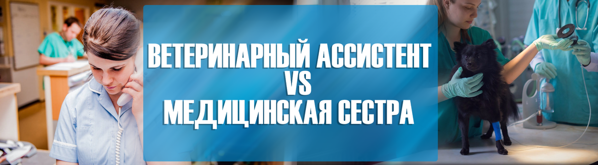 Обязанности ветеринарного ассистента. Медики против ветеринаров. Ветеринар против педиатра. Зачетная книжка ассистента ветеринарного врача. Медсестра переподготовка на ассистента ветеринарного врача.