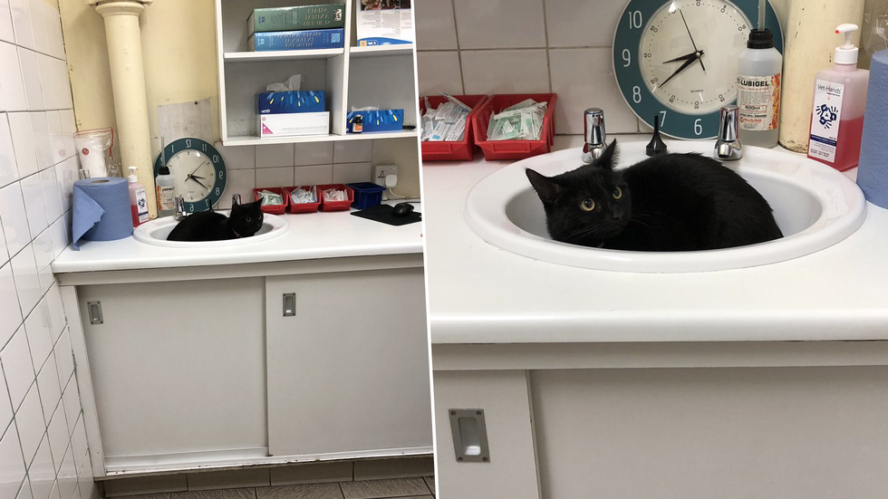 фото из © Twitter/sm_cbb