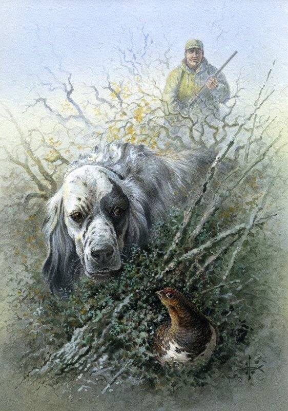  Александр Дегтев - "Здравствуй, куропатка!"
