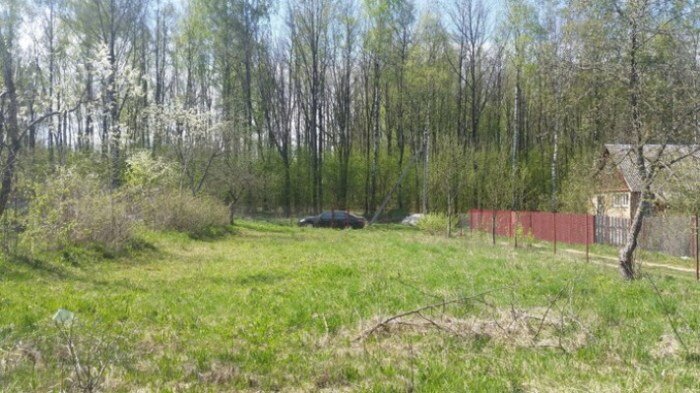 Так дача выглядела до установки дома.