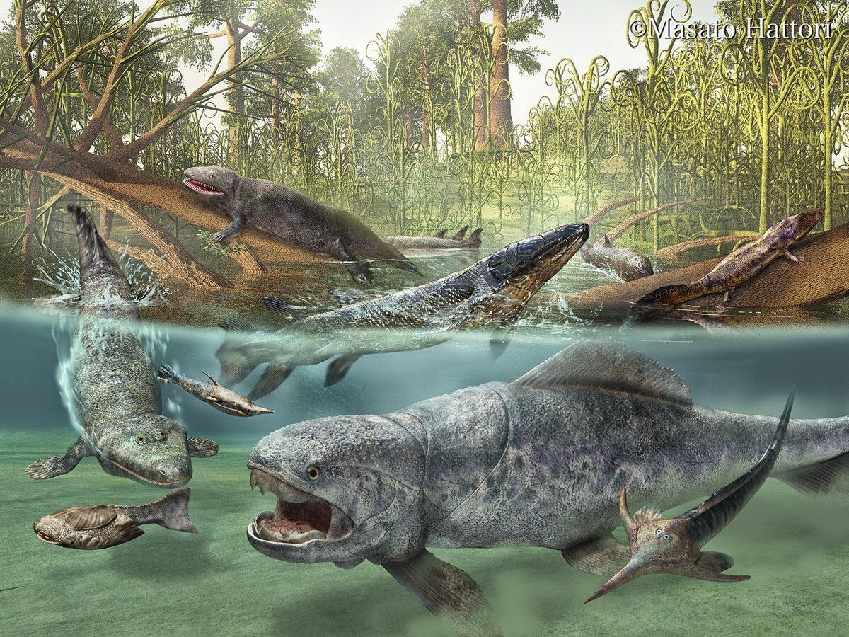https://paleontologyworld.com