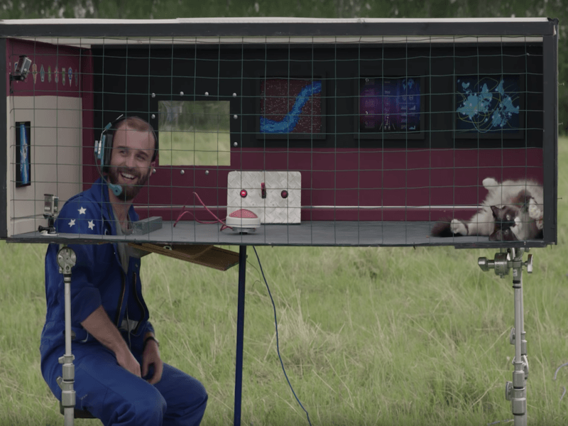 Из поиска Яндекс