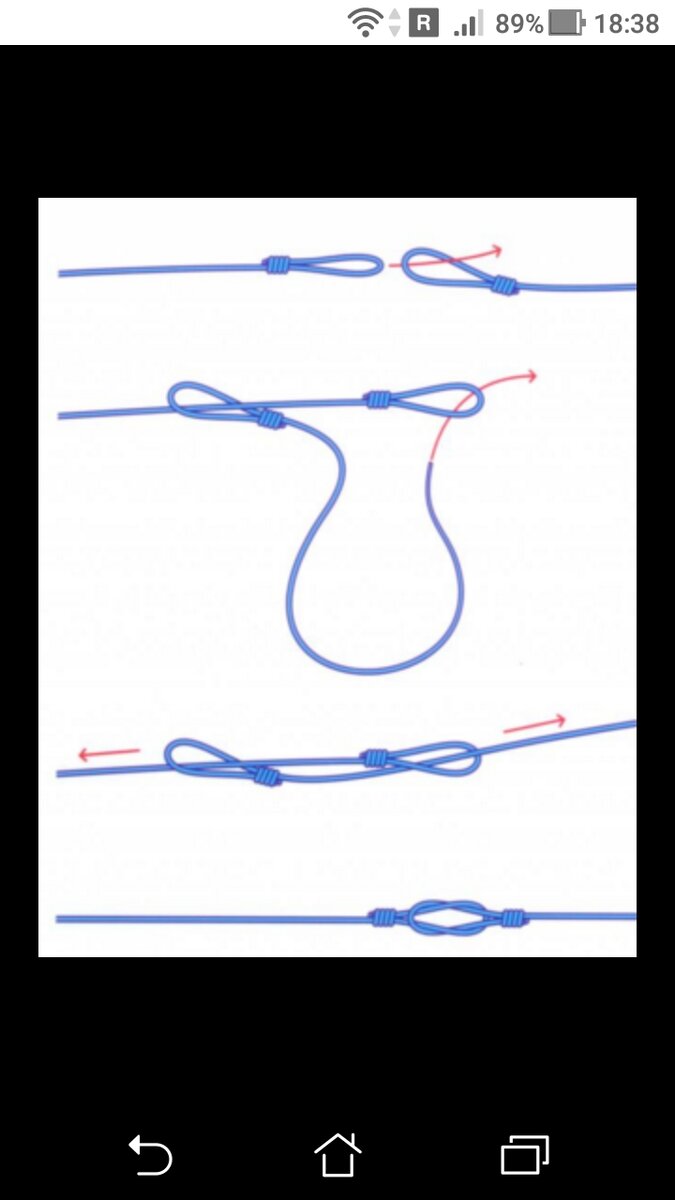 Как сделать петлю на леске для поводка легкий способ схема
