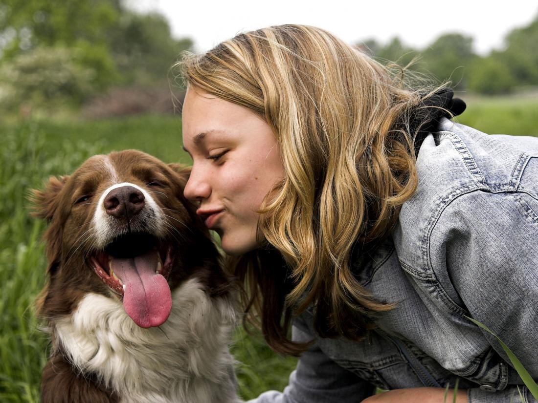 Животные лижут девушке. Собаки любовь. Любовь к животным. Хозяин собаки. Домашние животные и человек.