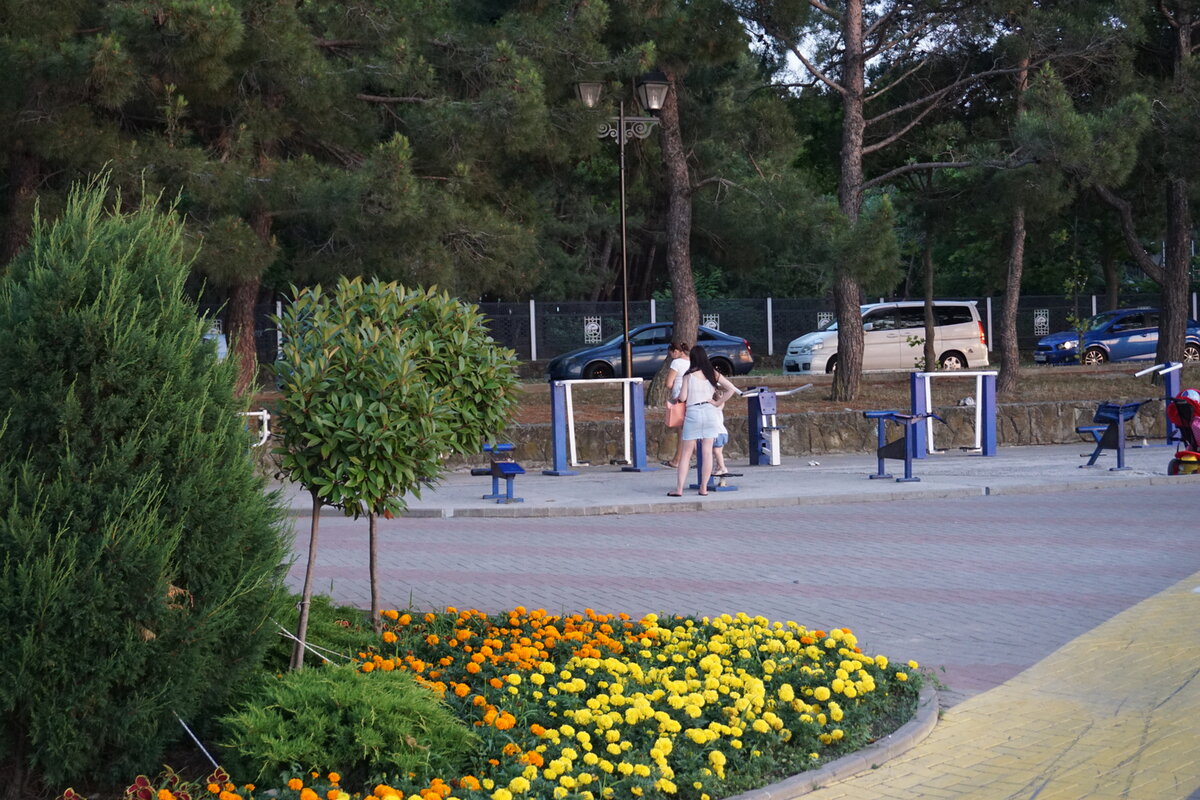 Дол геленджика