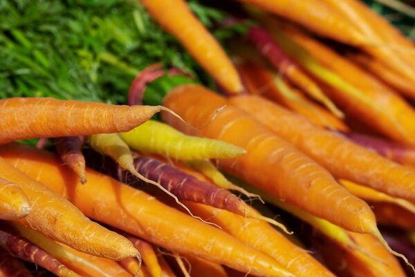 Какая морковь полезнее: сырая или вареная?