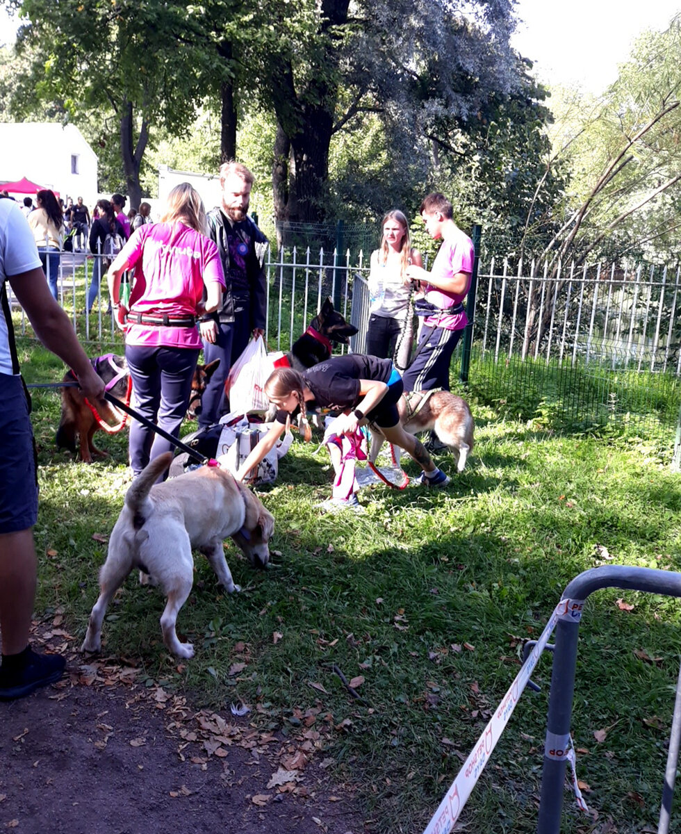 Видите, какие разные участники приехали на выставку. 