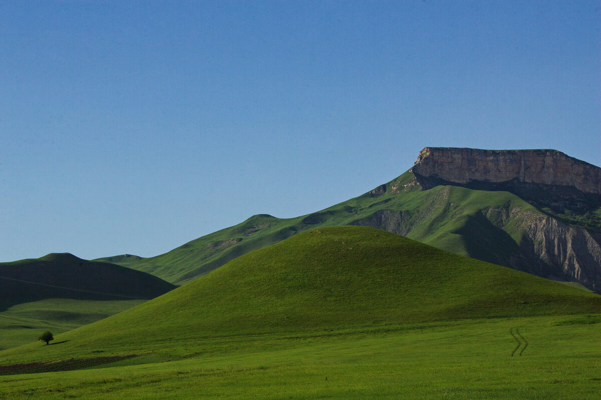 Холмы Зеленчукской долины. Одинокое дерево в правом нижнем углу - дань любимому образу фотографов всех времен.
