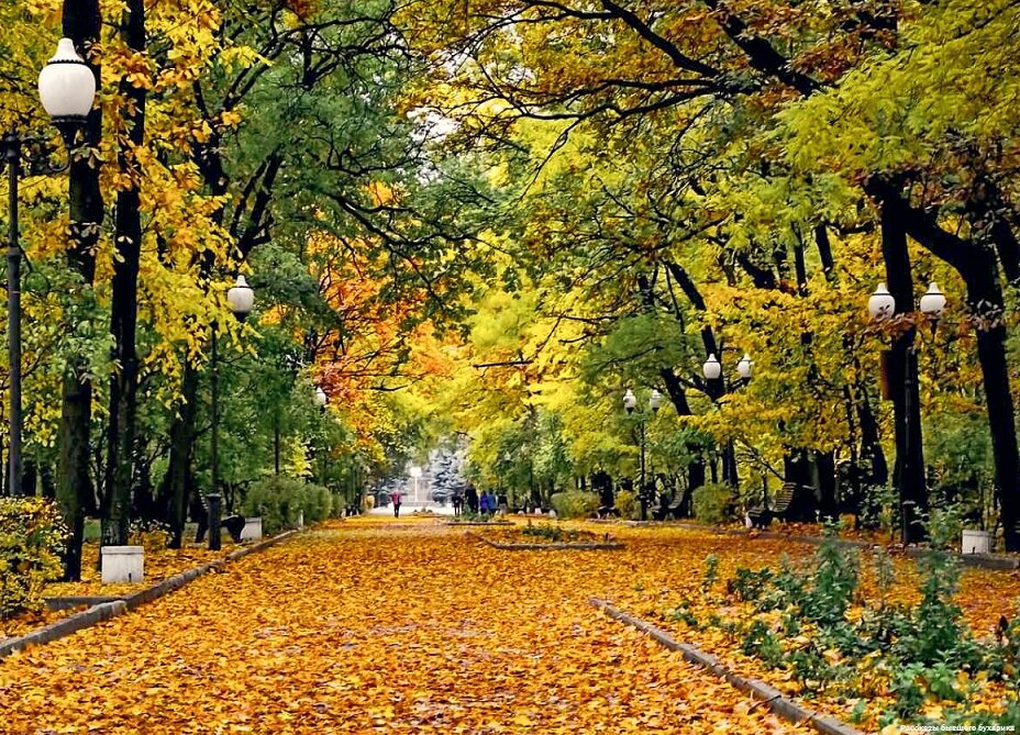Парк мелитополь
