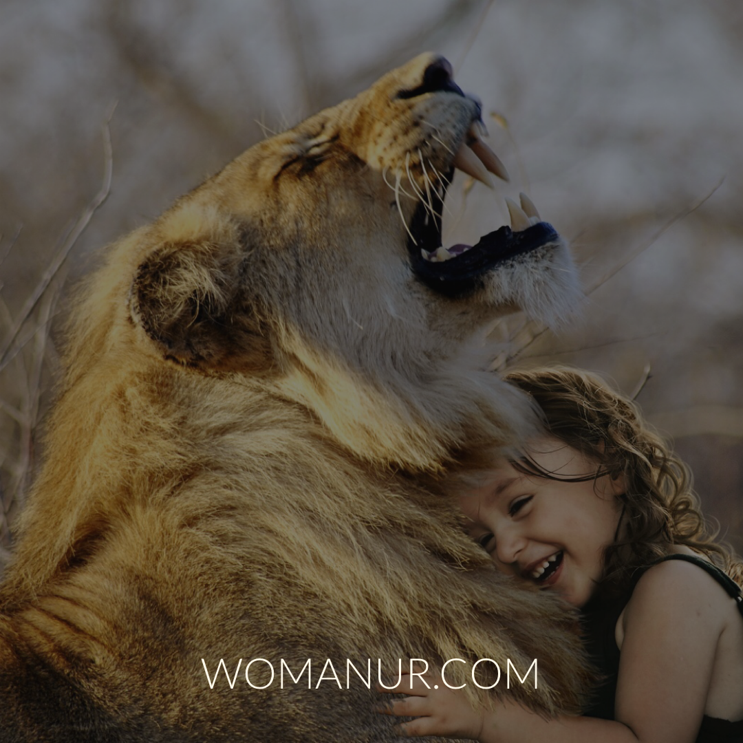 Все права защищены ©