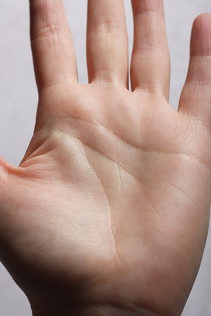 фото: яндекс