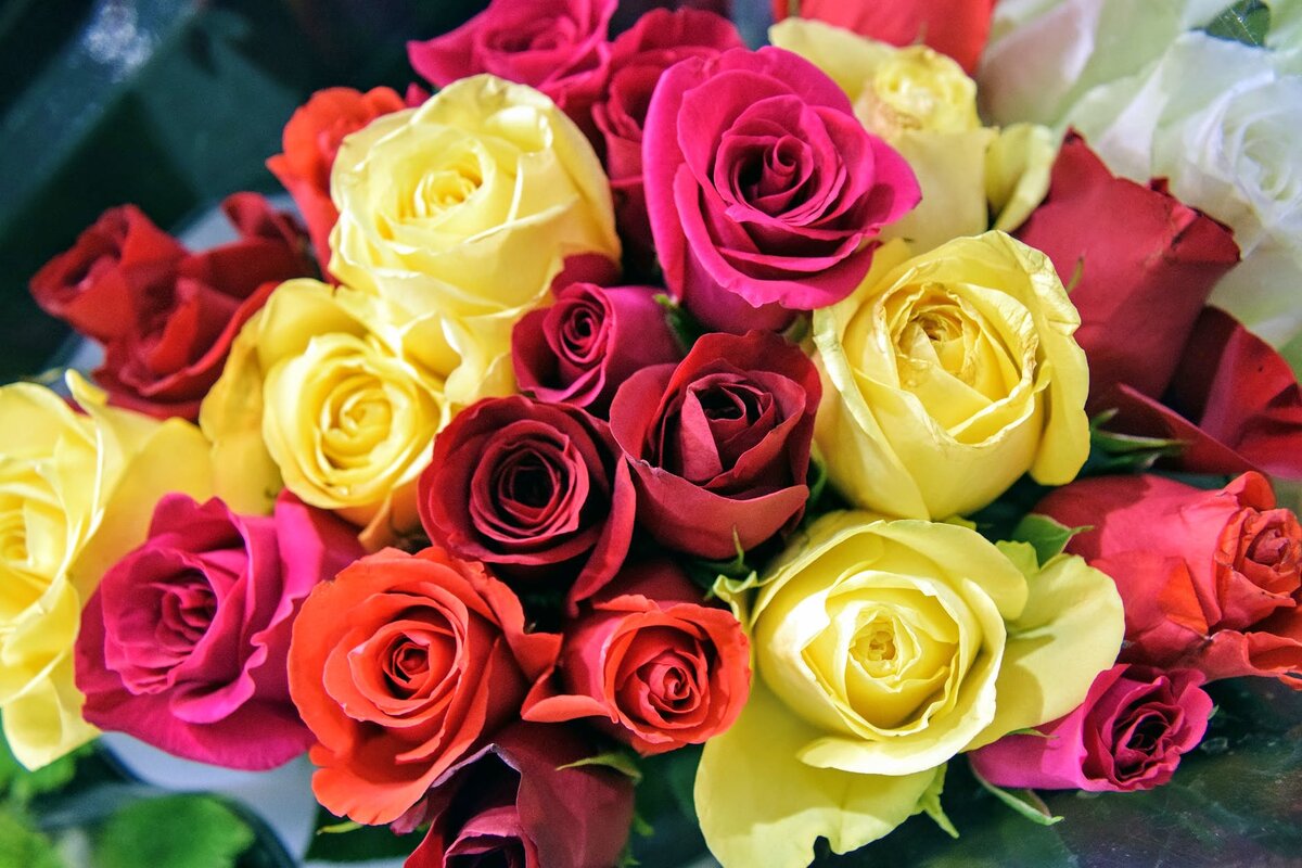 Фото: Amber Lamoreaux/pexels.com