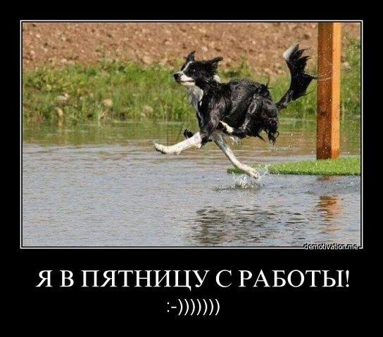 Фото Яндекс картинки