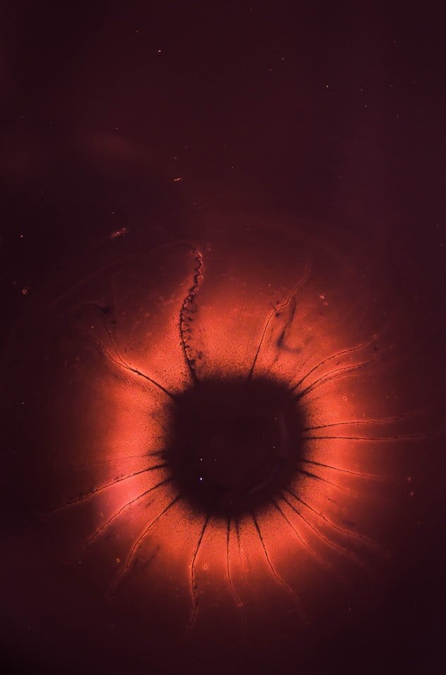 https://images.unsplash.com/photo-1484903820457-9e585d707e9d?ixlib=rb-1.2.1&ixid=eyJhcHBfaWQiOjEyMDd9&auto=format&fit=crop&w=631&q=80
