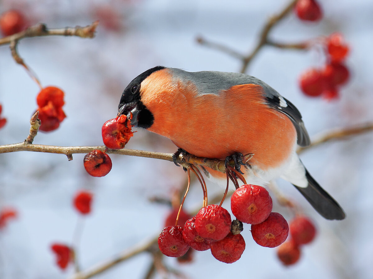 https://img-7.photosight.ru/b8d/6512395_xlarge.jpg