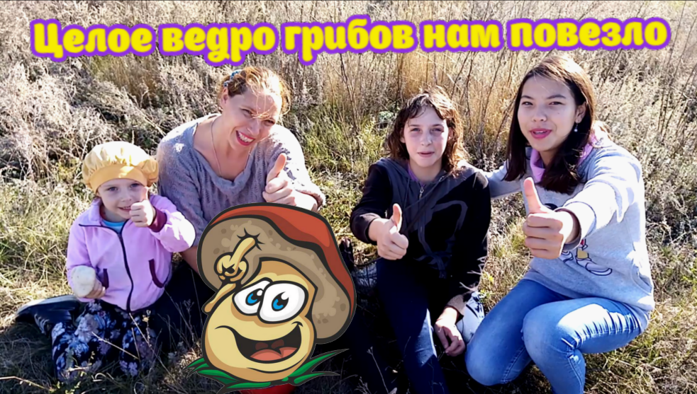 Тихая охота 🍄 Гриб синеножка, самые вкусные грибы 🍄 Целое ведро грибов нам повезло 🍄 2019